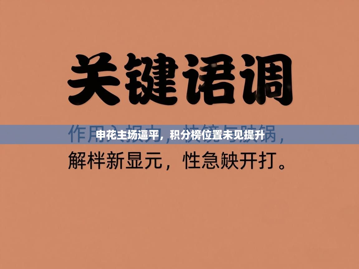 申花主场逼平，积分榜位置未见提升  第2张