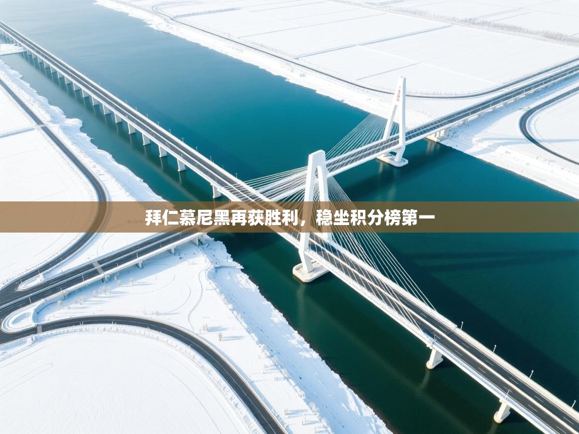 拜仁慕尼黑再获胜利，稳坐积分榜第一  第1张