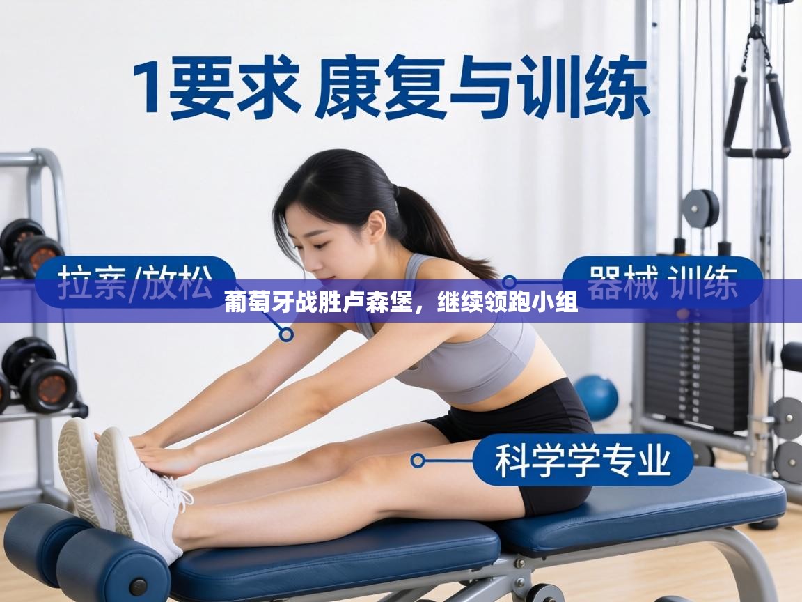 葡萄牙战胜卢森堡,继续领跑小组 第1张