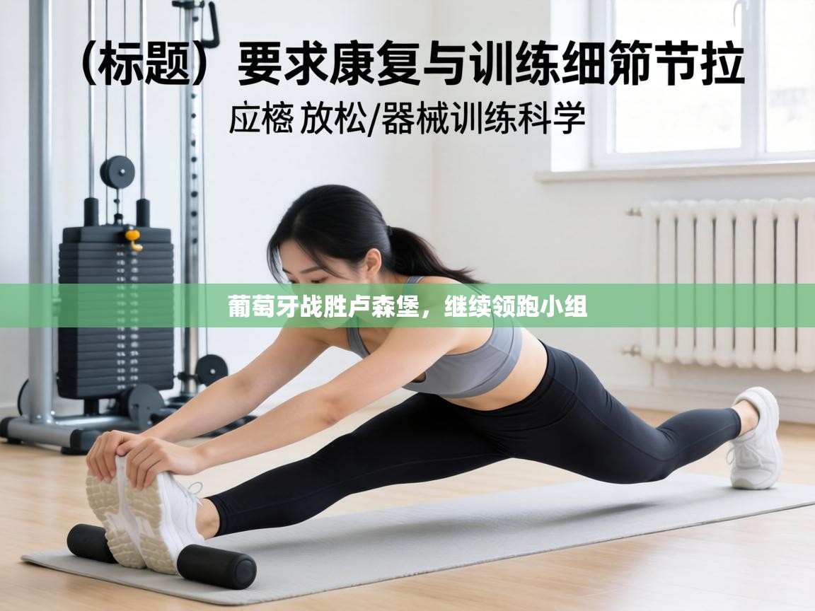 葡萄牙战胜卢森堡,继续领跑小组 第2张